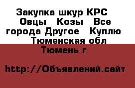 Закупка шкур КРС , Овцы , Козы - Все города Другое » Куплю   . Тюменская обл.,Тюмень г.